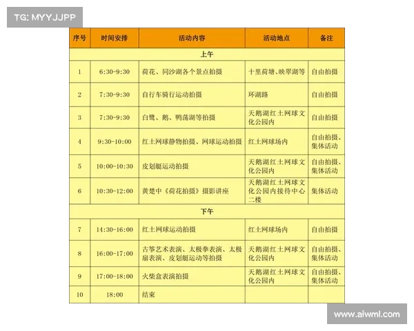 网球比赛门票价格分析:从普通票到VIP票的价格差异及其影响因素 网球比赛门票价格分析:从普通票到VIP票的价格差异及其影响因素